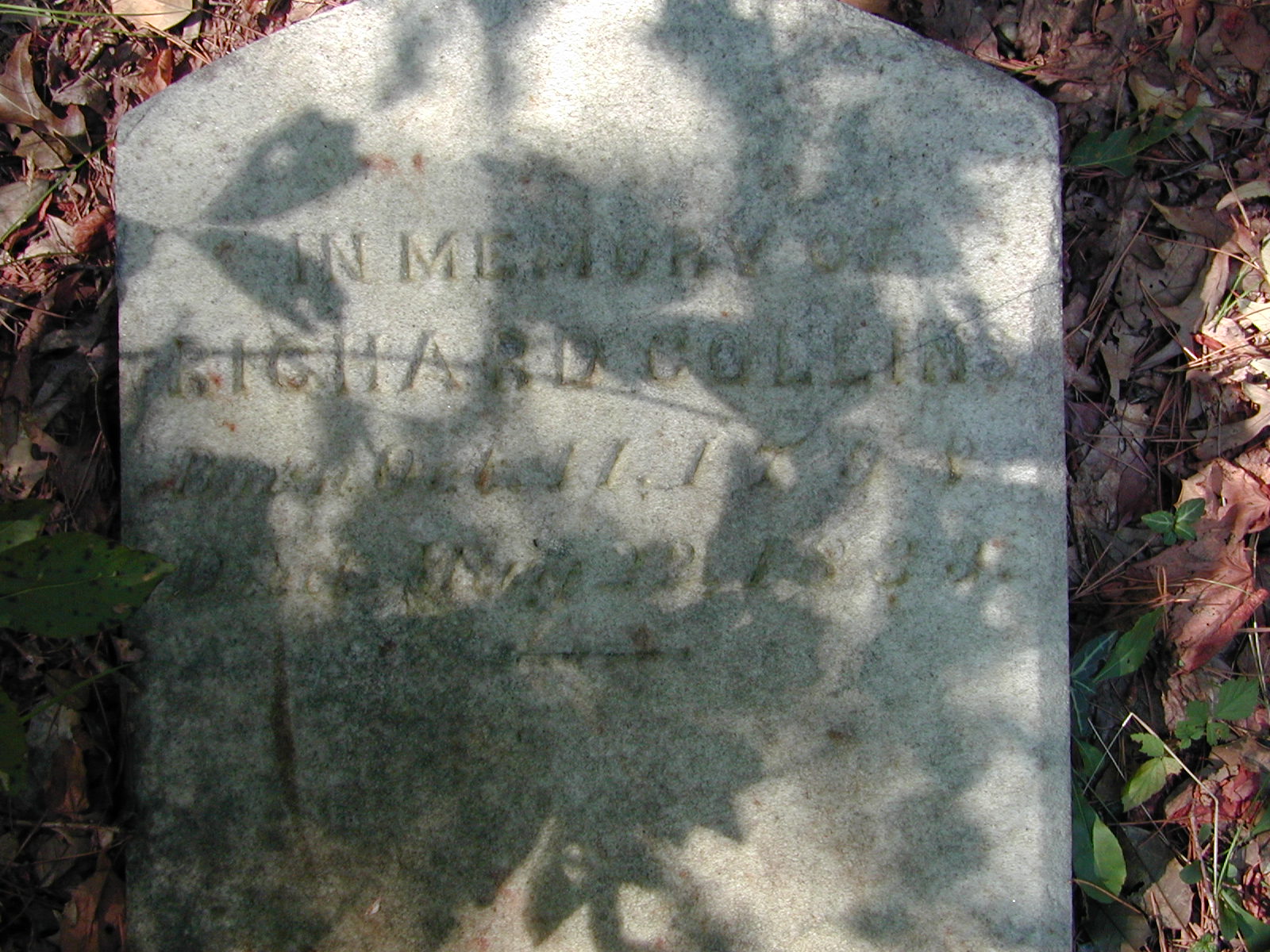 Richard Collins 2