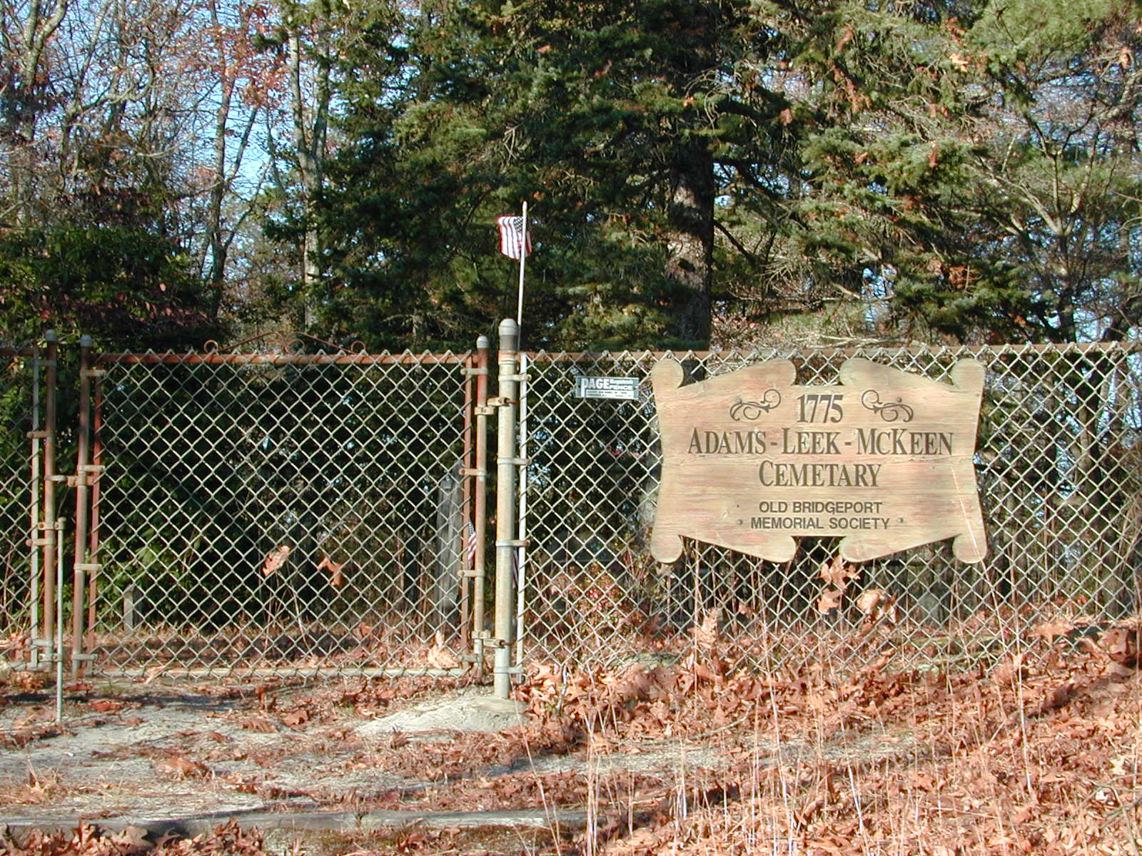 [Adams-Leek-McKeen Cemetery Image]